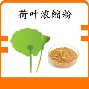 荷叶浓缩粉 荷叶粉 可定制 水溶 包邮