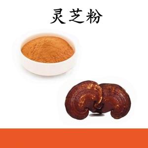 灵芝粉  灵芝提取物 可定制 水溶 包邮