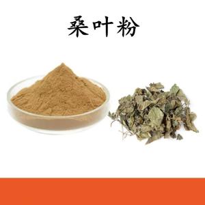 桑叶粉 桑叶提取物 水溶 可定制 包邮