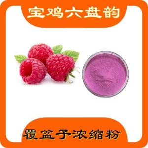 覆盆提取物  全水溶覆盆子提取物 多比例规格 纸板桶灭菌