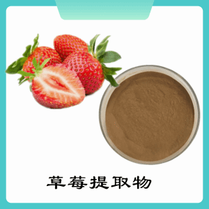 草莓提取物    草莓浓缩粉  可定制 水溶 包邮