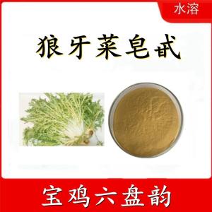 狼牙菜皂甙  六盘韵  狼牙菜提取物  包邮