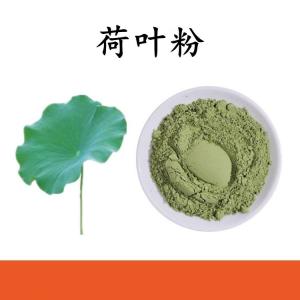 荷叶粉 荷叶提取物 水溶 可定制 包邮