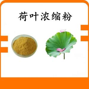 荷叶浓缩粉 荷叶粉 水溶 可定制 包邮