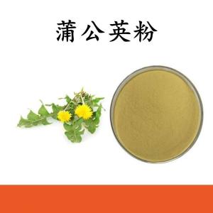 蒲公英粉 蒲公英提取物 水溶 可定制 包邮