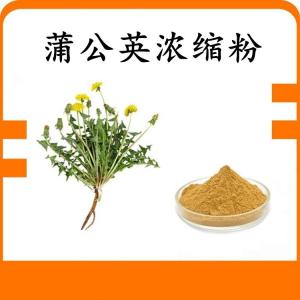 蒲公英 浓缩粉 蒲公英粉 水溶 可定制 包邮