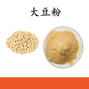大豆粉  大豆提取物 水溶 可定制 包邮