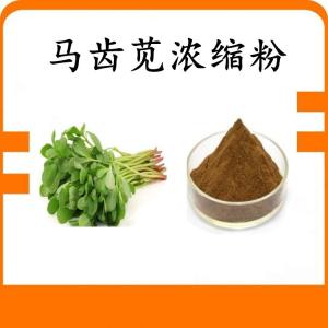 马齿苋浓缩粉 马齿苋粉 水溶  可定制 包邮