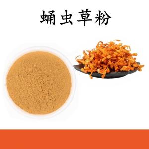 蛹虫草粉 蛹虫草提取物 水溶 可定制 包邮