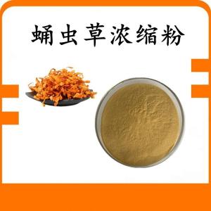 蛹虫草浓缩粉 蛹虫草粉 水溶 可定制 包邮