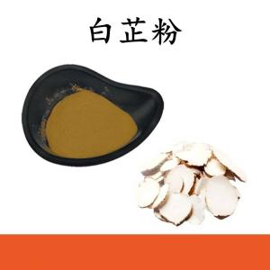 白芷粉 白芷提取物 水溶 可定制 包邮