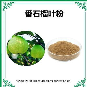 番石榴叶速溶粉 番石榴叶粉 水溶性原料 释迦果叶速溶粉