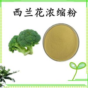 西兰花浓缩粉 西兰花粉 水溶 可定制 包邮