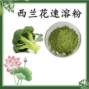 西兰花速溶粉 西兰花浓缩粉 水溶 可定制 包邮