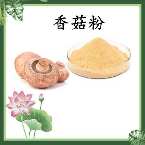 香菇粉 香菇速溶粉 水溶 可定制 包邮