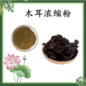 木耳浓缩粉 木耳粉 水溶 可定制 包邮