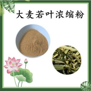 大麦若叶浓缩粉 大麦若叶粉 水溶 可定制 包邮