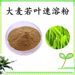 大麦若叶速溶粉 大麦若叶浓缩粉 水溶 可定制 包邮