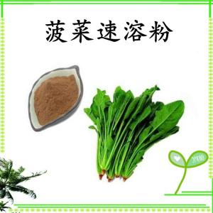 菠菜速溶粉 菠菜浓缩粉 水溶 可定制 包邮