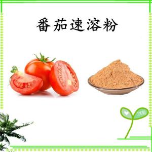 番茄速溶粉 番茄浓缩粉 水溶 可定制 包邮