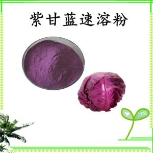 紫甘蓝速溶粉 紫甘蓝浓缩粉 水溶 可定制 包邮