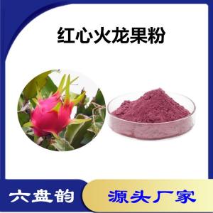 红心火龙果速溶粉 红心火龙果粉 水溶性固体饮料原料