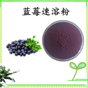 蓝莓速溶粉 蓝莓浓缩粉 水溶 可定制 包邮