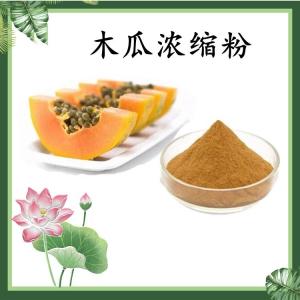 木瓜浓缩粉 木瓜果粉 水溶 可定制 包邮