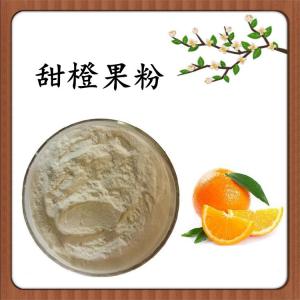 甜橙果粉 甜橙速溶粉 水溶 可定制 包邮