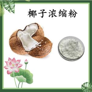 椰子浓缩粉 椰子果粉 水溶 可定制 包邮
