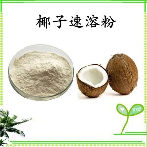 椰子速溶粉  椰子浓缩粉 水溶 可定制  包邮