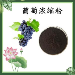 葡萄浓缩粉 葡萄果粉  水溶 可定制 包邮