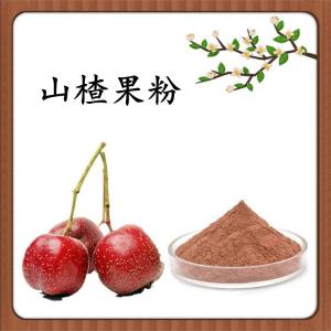 山楂果粉 山楂速溶粉 水溶 可定制 包邮
