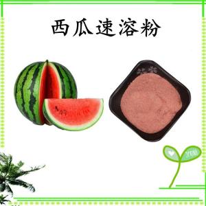 西瓜速溶粉 西瓜浓缩粉 水溶 可定制 包邮