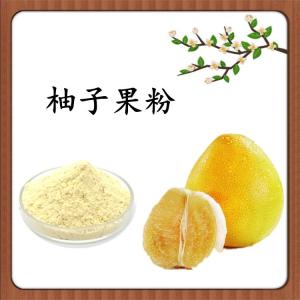 柚子果粉 柚子速溶粉 水溶 可定制 包邮