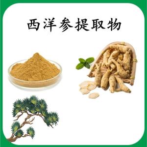 西洋参提取物 西洋参浓缩粉 水溶 可定制 包邮