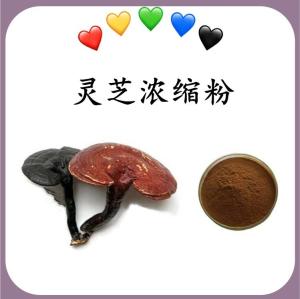 灵芝浓缩粉 灵芝速溶粉 水溶 可定制 包邮
