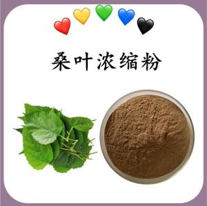 桑叶浓缩粉 桑叶速溶粉 水溶 可定制 包邮