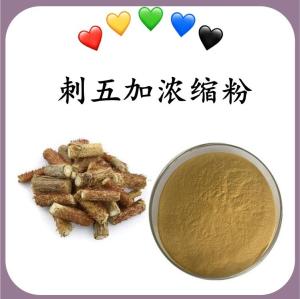 刺五加浓缩粉 刺五加速溶粉 可定制 水溶 包邮