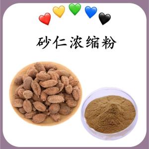 砂仁浓缩粉 砂仁速溶粉 水溶 可定制 包邮