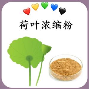 荷叶浓缩粉 荷叶速溶粉 水溶 可定制 包邮