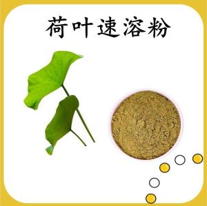 荷叶速溶粉 荷叶提取物 水溶 可定制 包邮
