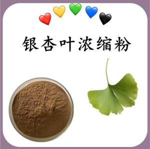银杏叶浓缩粉 银杏叶速溶粉 水溶 可定制 包邮