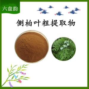 侧柏叶粗提取物 可定制 水溶 包邮
