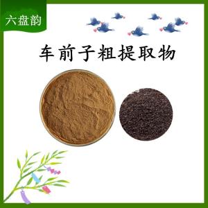 车前子粗提取物 可定制 水溶 包邮