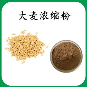 大麦浓缩粉 大麦膳食纤维 可定制 水溶 包邮