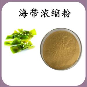 海带浓缩粉 海带膳食纤维 可定制 水溶 包邮