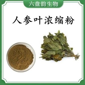 人参叶浓缩粉 人参叶速溶粉 可定制 水溶 包邮