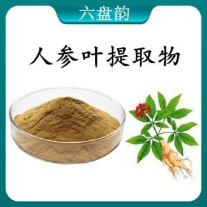 人参叶提取物 人参叶浓缩粉 可定制 水溶 包邮