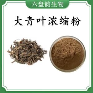 大青叶浓缩粉 大青叶速溶粉 可定制 水溶 包邮